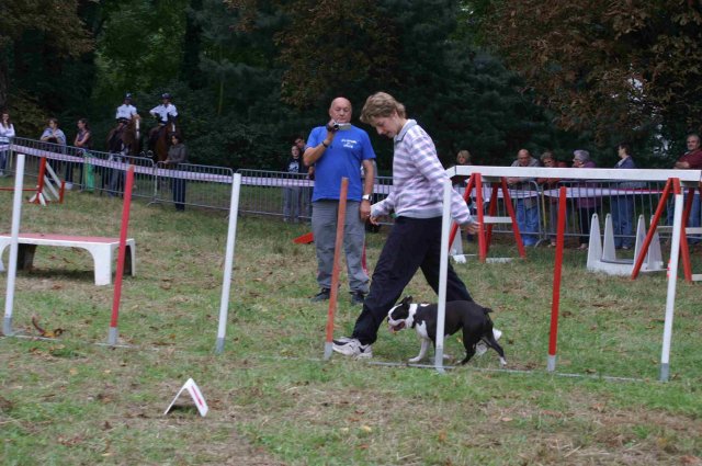 foire-haricots 2011-09-17et18